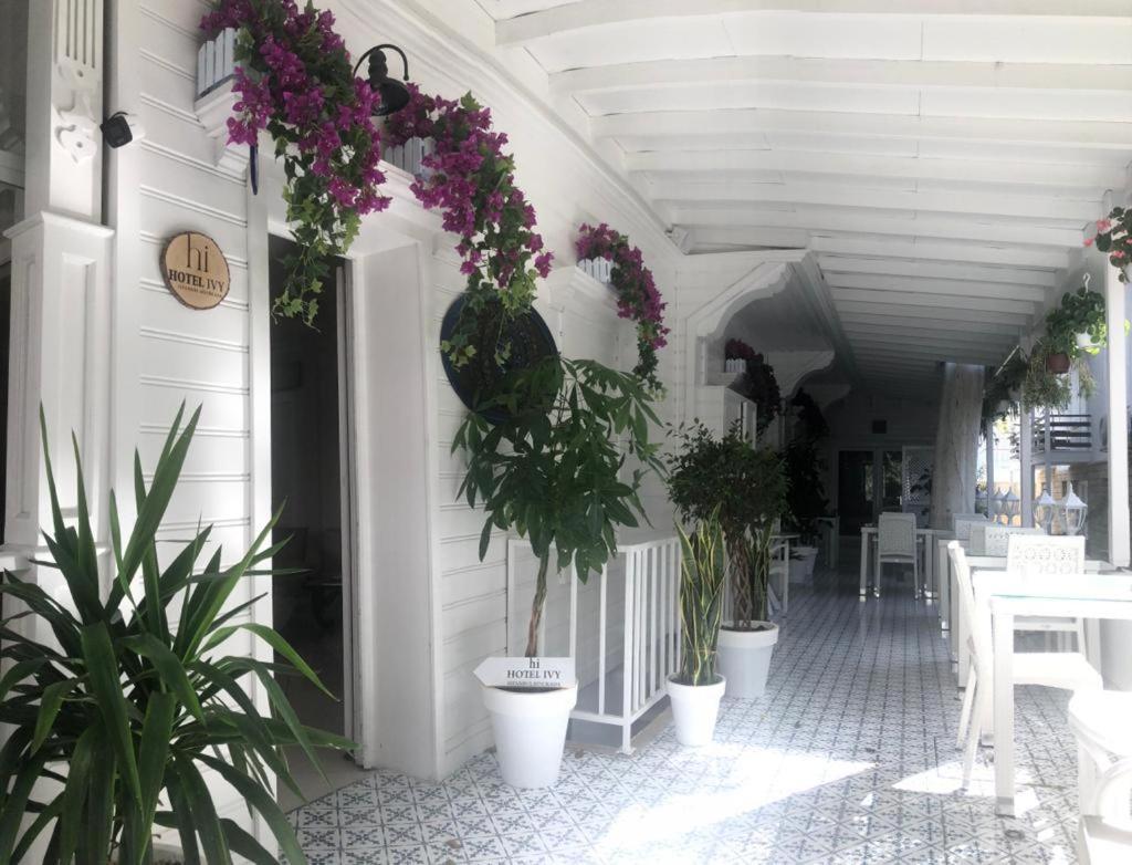 Hi Hotel Ivy Bueyuekada Adalar Esterno foto